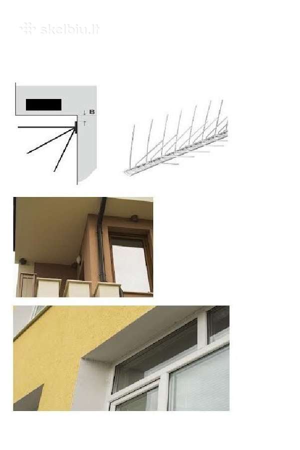 Spygliai, apsaug nuo paukščių balandžių, kregždžių - nuotraukos Nr. 2