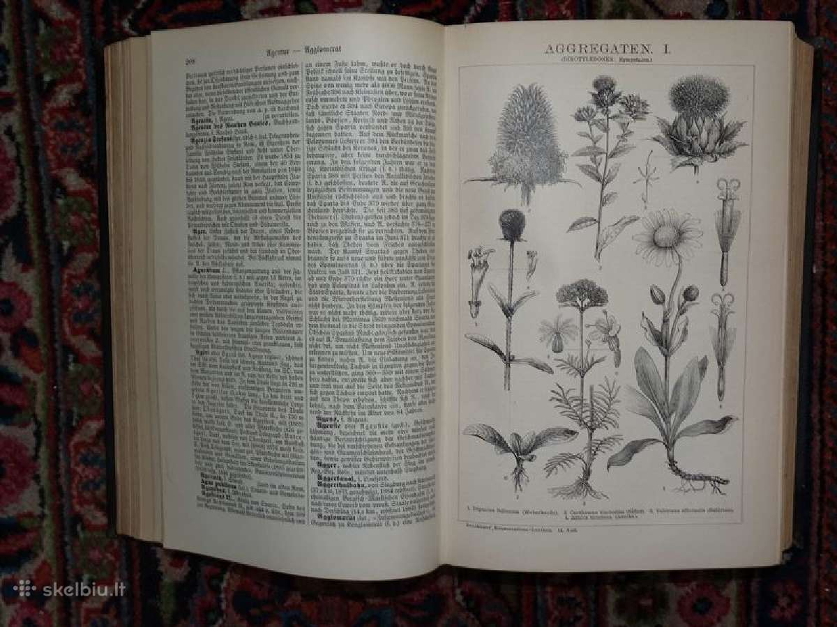 Senovinė Brockhaus enciklopedija 1894/17t - nuotraukos Nr. 5