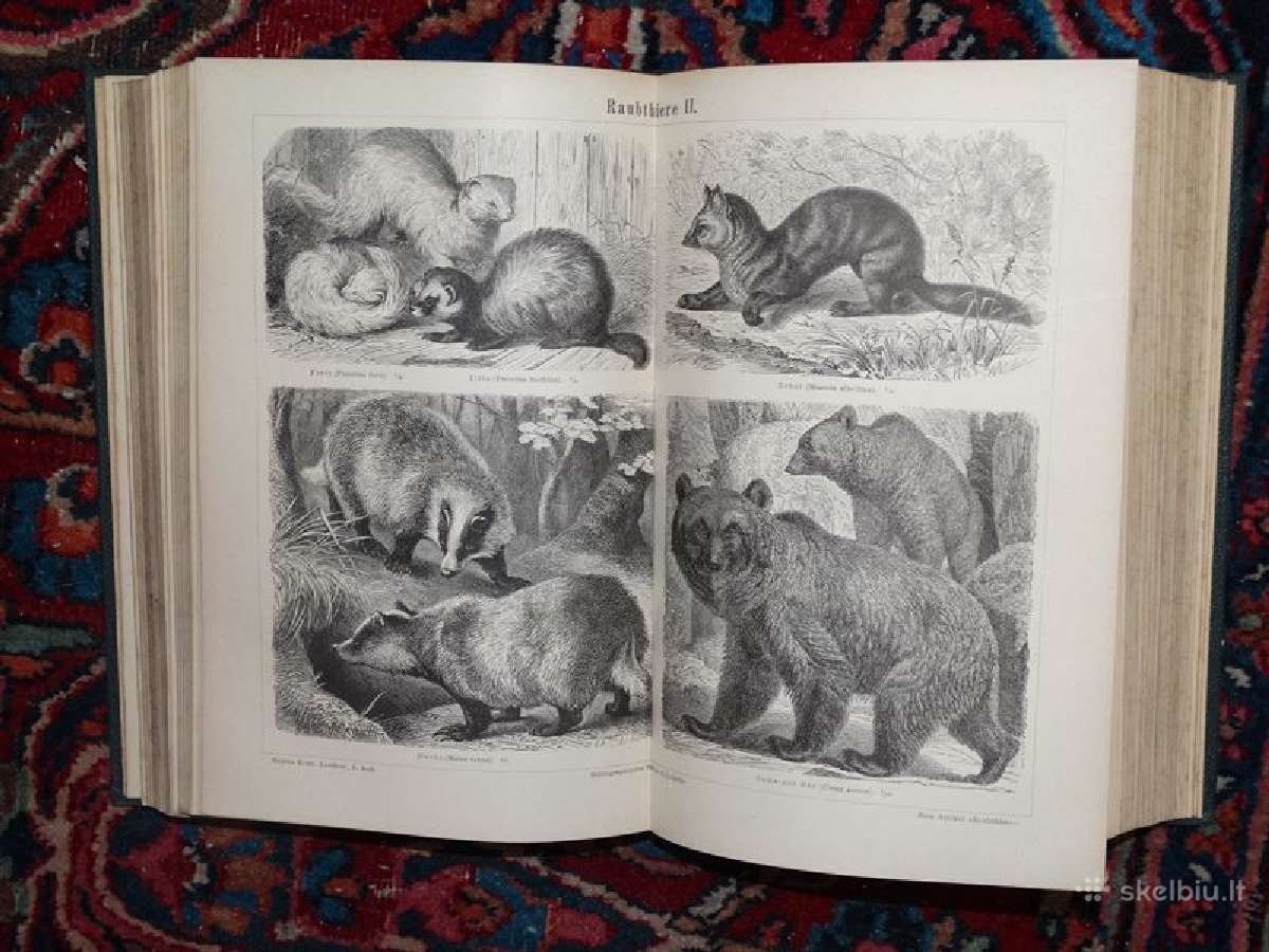 Senovinė Brockhaus enciklopedija 1894/17t - nuotraukos Nr. 7