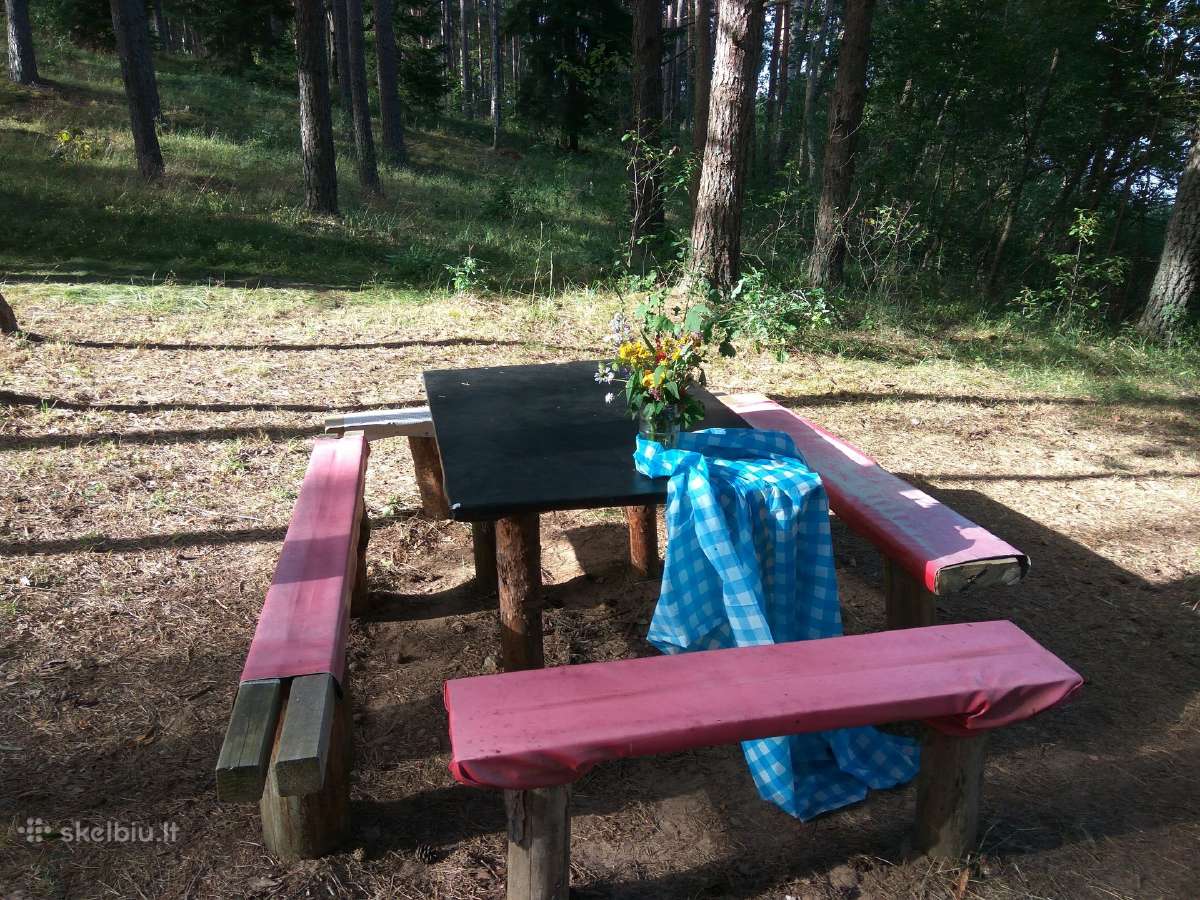 Kaimo turizmas, poilsis prie ežero - nuotraukos Nr. 5