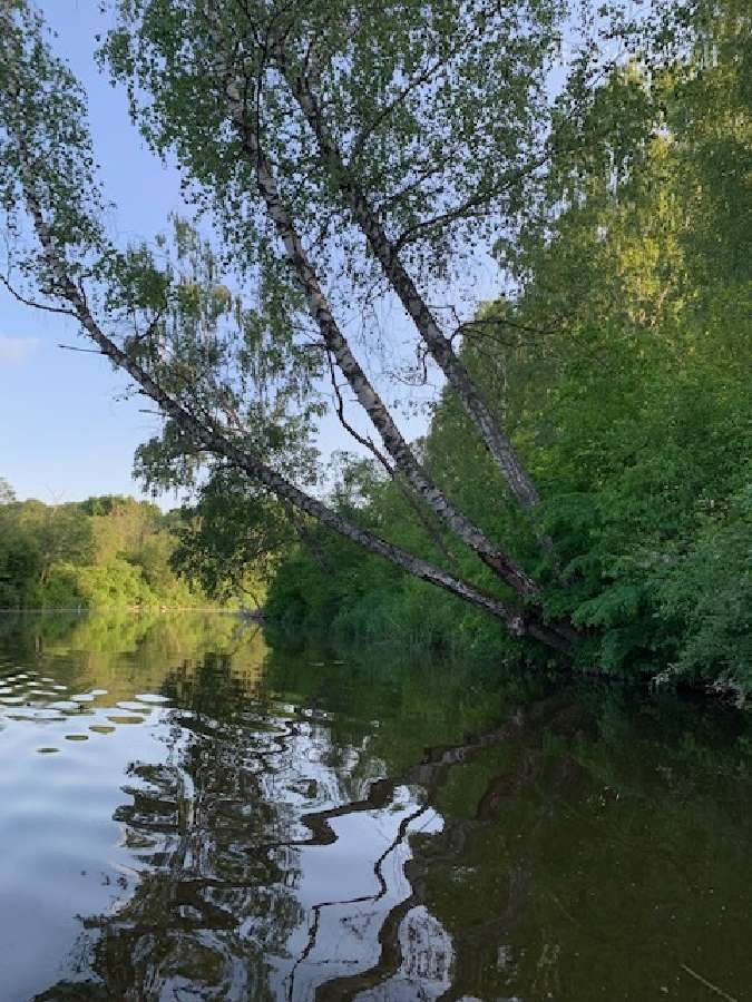 Irklenčių nuoma - nuotraukos Nr. 6