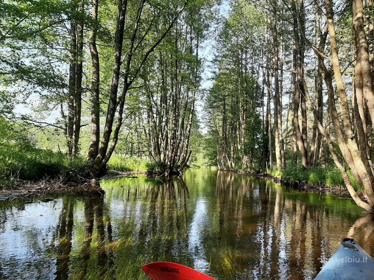 Sodybos nuoma prie Gaujos upės. Baidarių nuoma. - nuotraukos Nr. 17