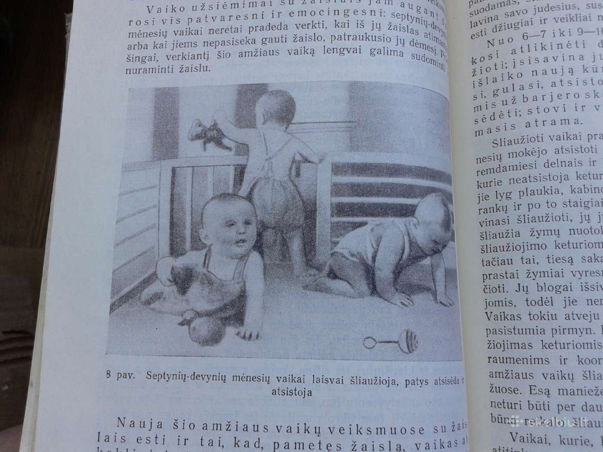 Mažų vaikų auklėjimas vaikų įstaigose - nuotraukos Nr. 5