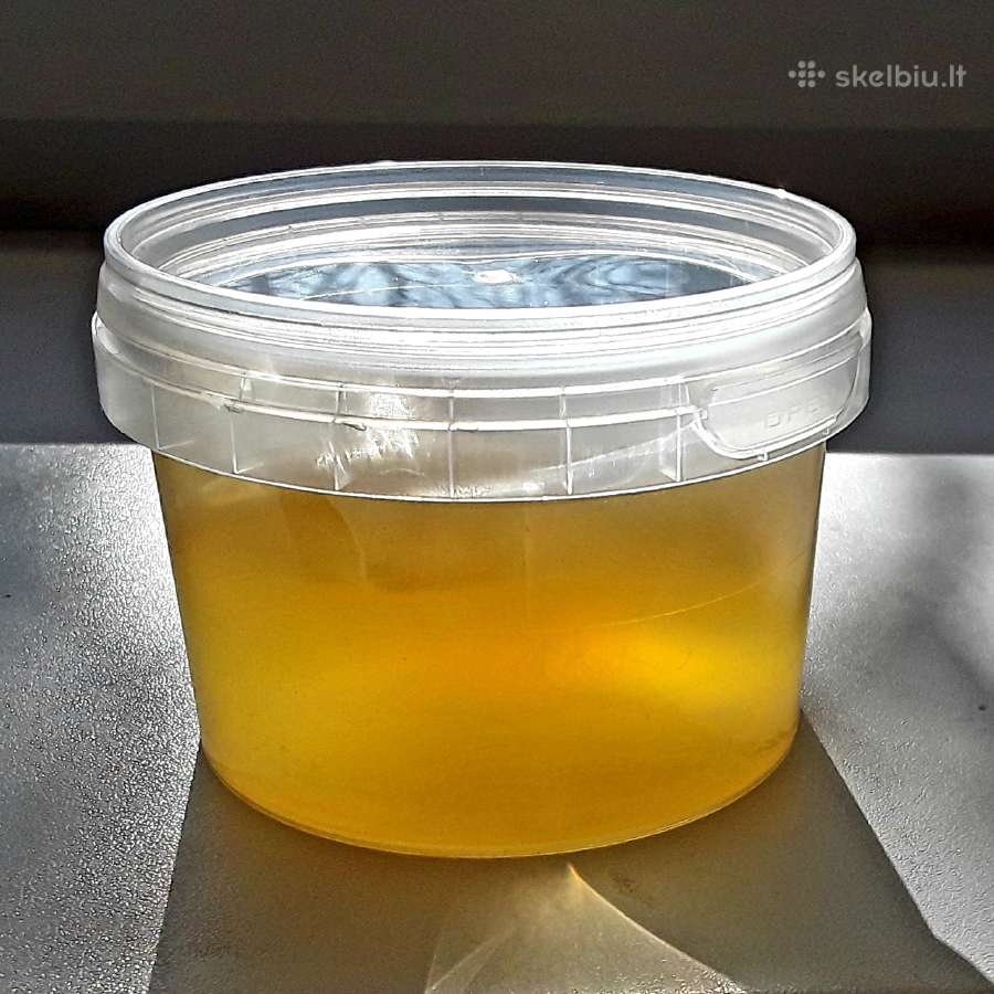 Arbatos grybas Kombucha Visa Lietuva - nuotraukos Nr. 4