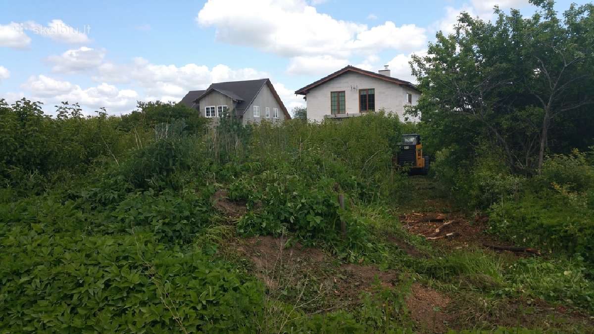 Krūmų naikinimas, krūmų pjovimas, kelmų šalinimas - nuotraukos Nr. 2
