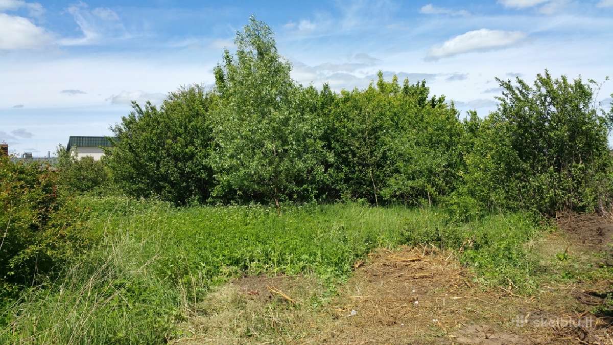 Krūmų naikinimas, krūmų pjovimas, kelmų šalinimas - nuotraukos Nr. 8