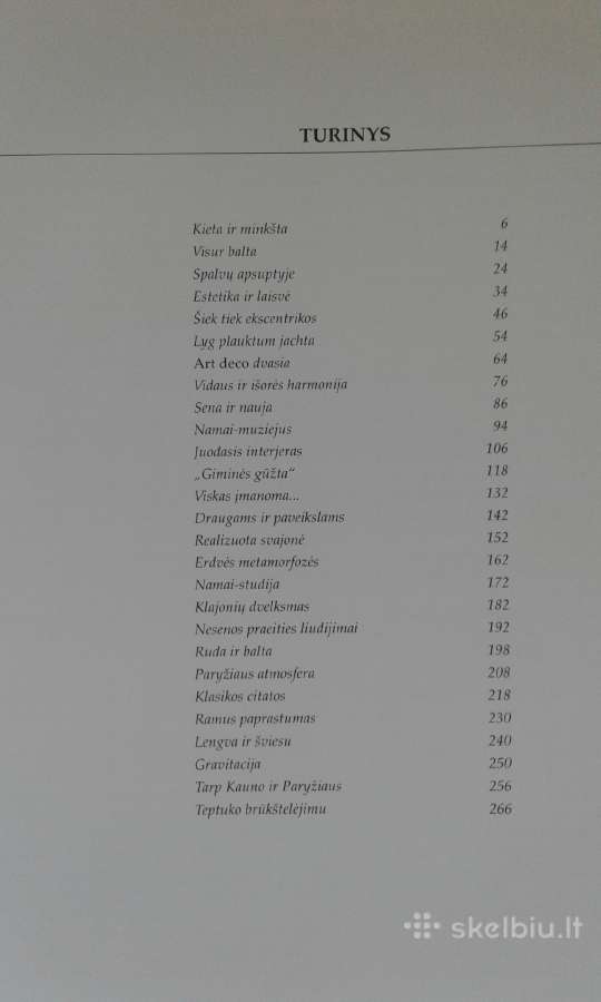T.serket.interjeras Lietuvoje 2007 m. - nuotraukos Nr. 2