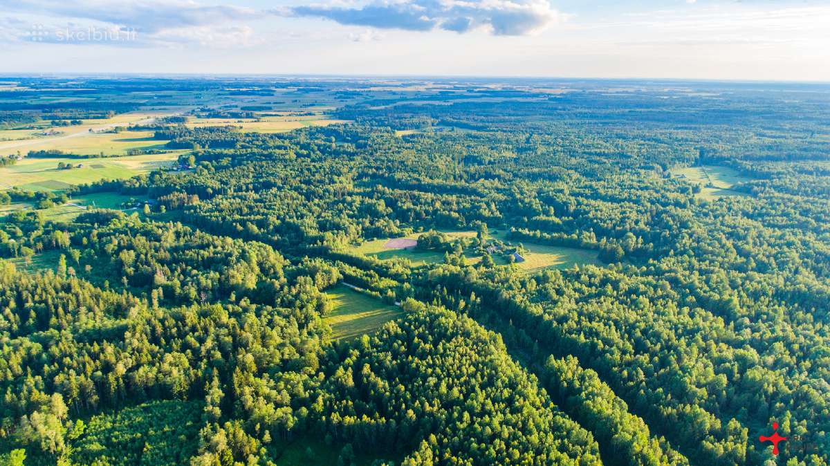 Sodyba su 5,15 ha žemės- arba su 15ha - nuotraukos Nr. 7