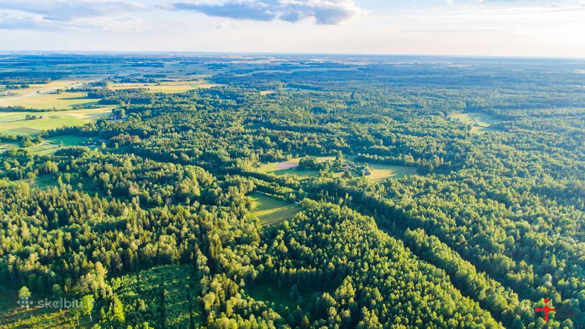 Sodyba su 5,15 ha žemės- arba su 15ha - nuotraukos Nr. 8