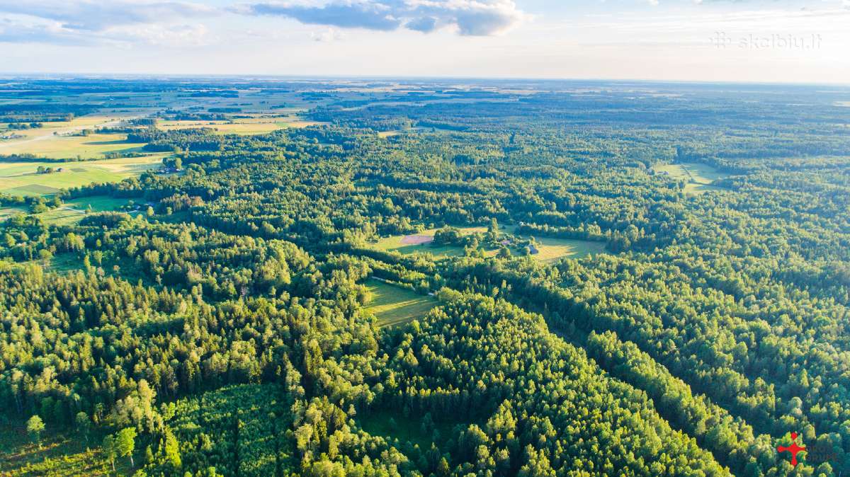 Sodyba su 5,15 ha žemės- arba su 15ha - nuotraukos Nr. 9