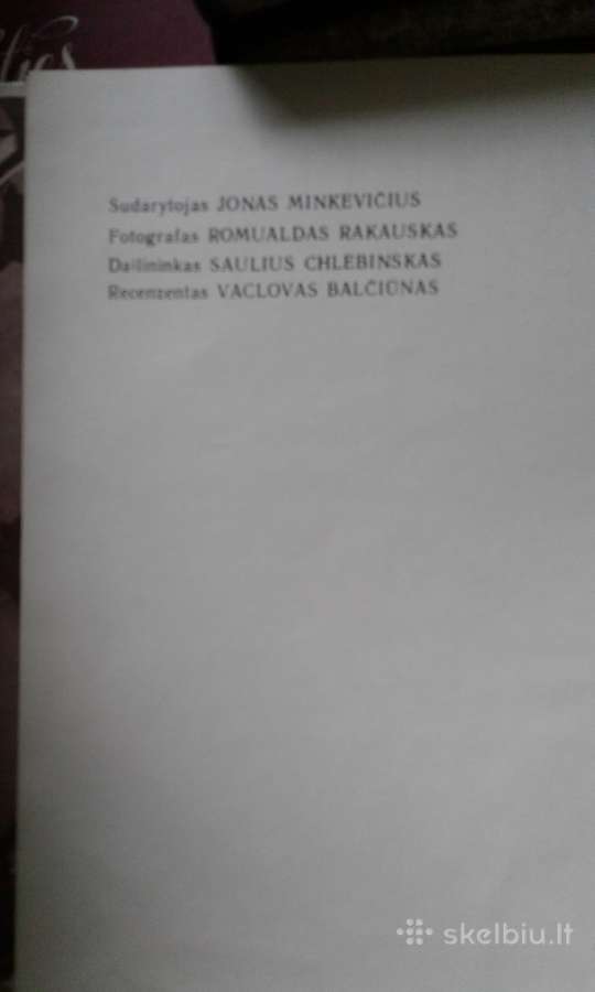 Lietuvos architektūros istorija -1,2 dalis - nuotraukos Nr. 6