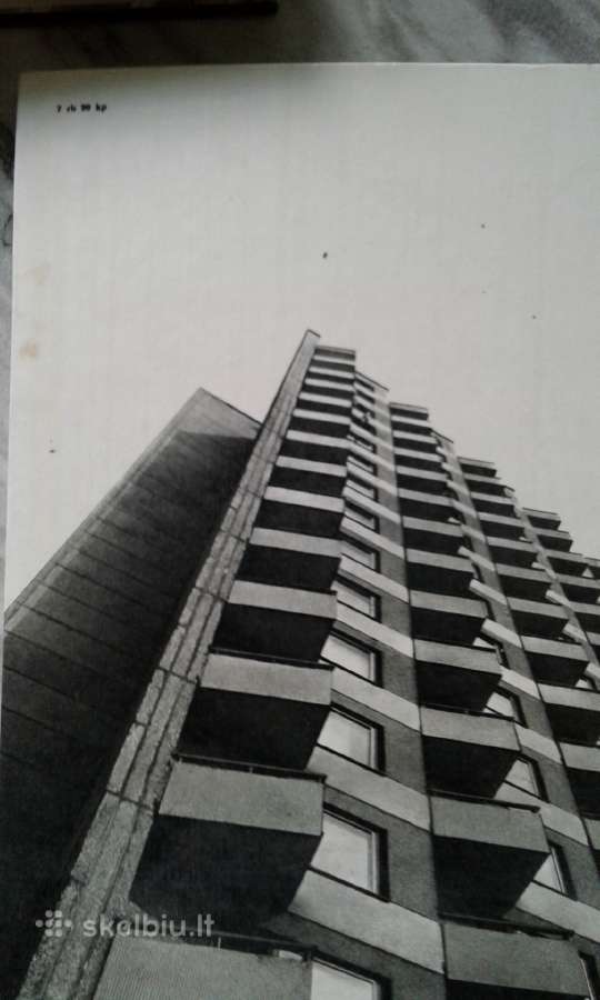 Lietuvos architektūros istorija -1,2 dalis - nuotraukos Nr. 8