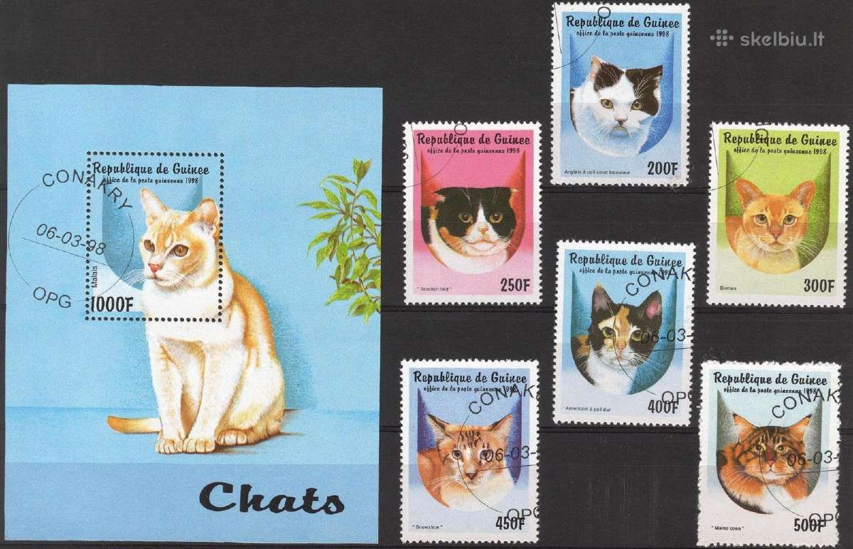 Katės. 1998 Gvinėja.