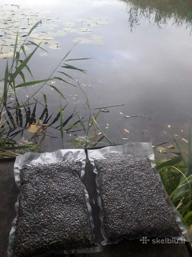 Šutintos kanapių sėklos vakuuminėje pakuotėje
