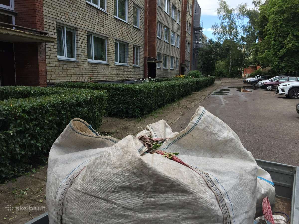 Gyvatvorių kirpimas, sodų purškimas - nuotraukos Nr. 11