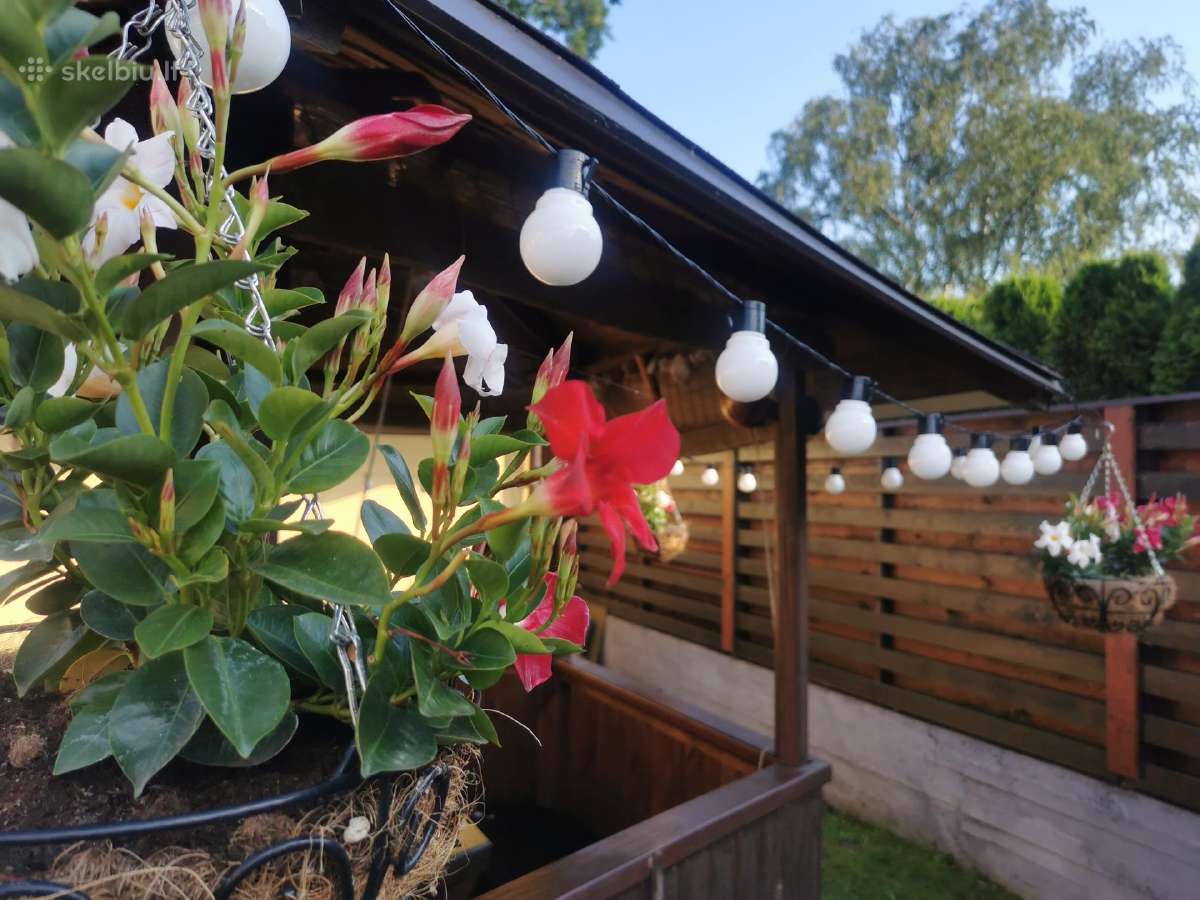 Burbulinių lauko lempučių nuoma tik 0,50€/m. - nuotraukos Nr. 17