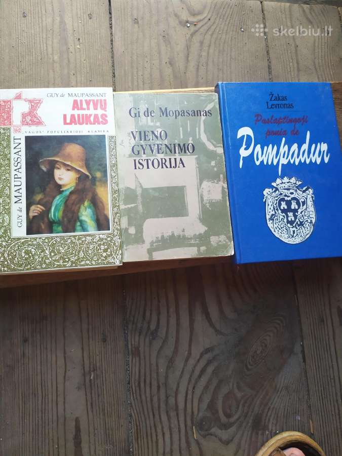 Grožinė literatūra