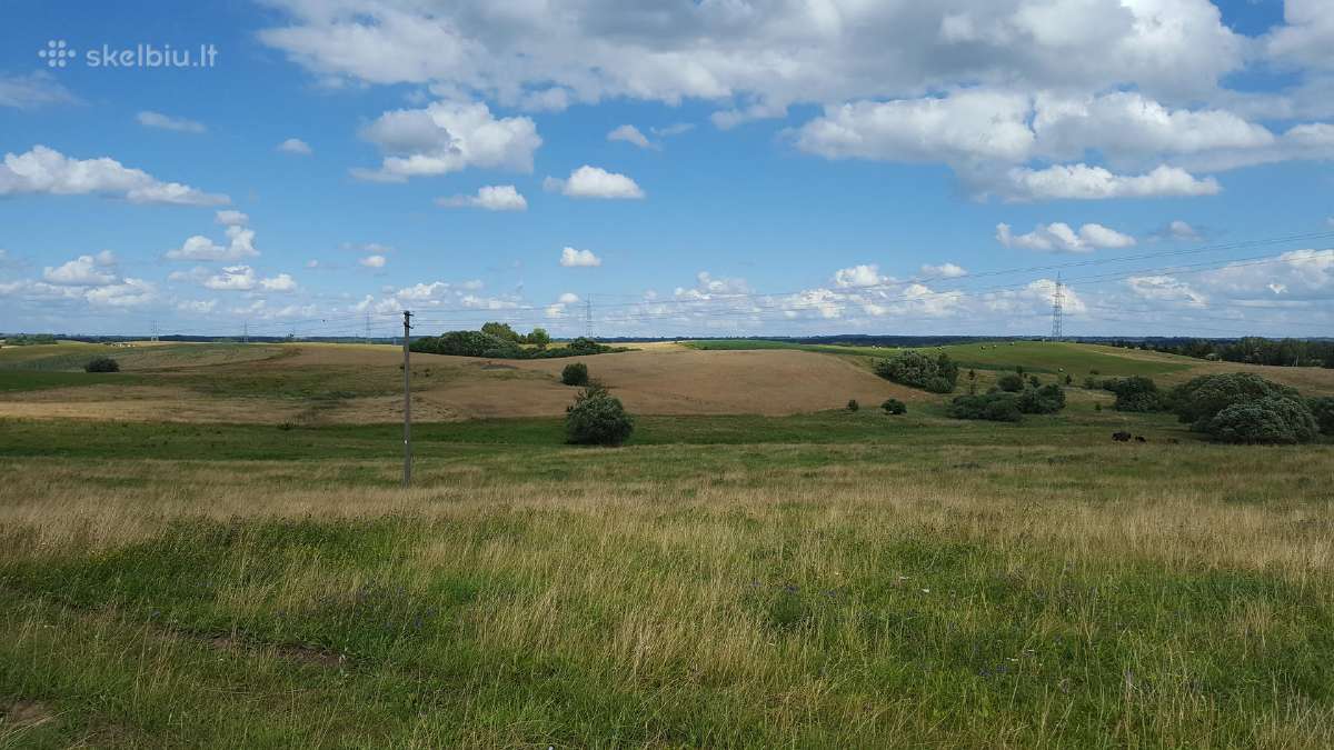 Parduodamas zemes sklypas prie ezero su pkrante. - nuotraukos Nr. 10