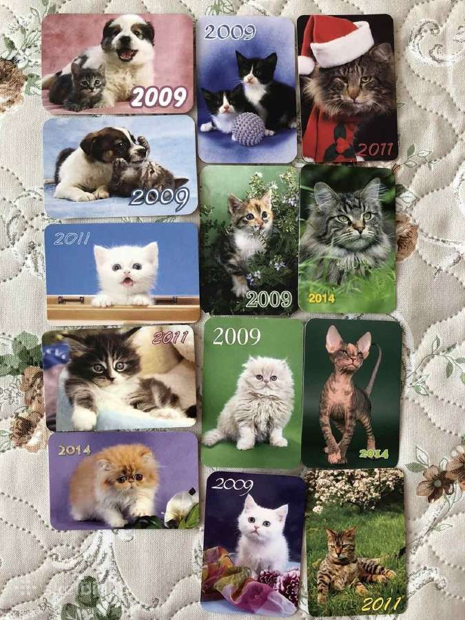 Kalendoriukai ir atvirukai su kačiukais - nuotraukos Nr. 6