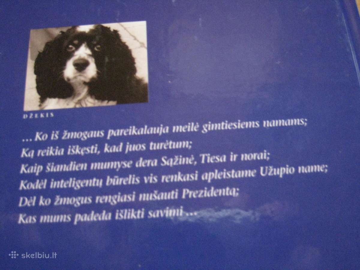 Kazys Paulauskas Ištikimybė 2007 m. - nuotraukos Nr. 3