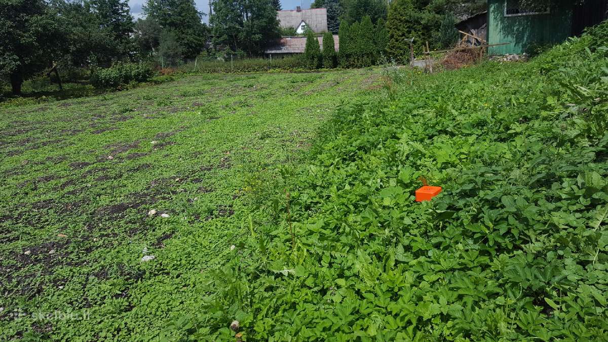 Riboženkliai ir mediniai kuoliukai - nuotraukos Nr. 21