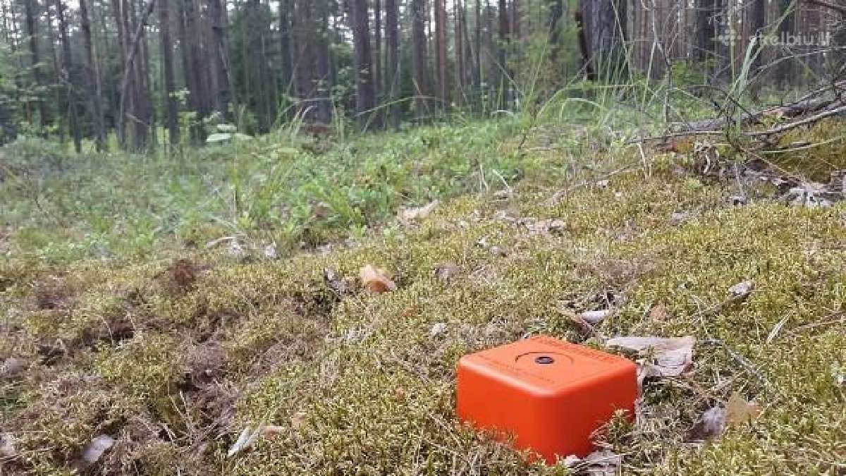Riboženkliai ir mediniai kuoliukai - nuotraukos Nr. 22