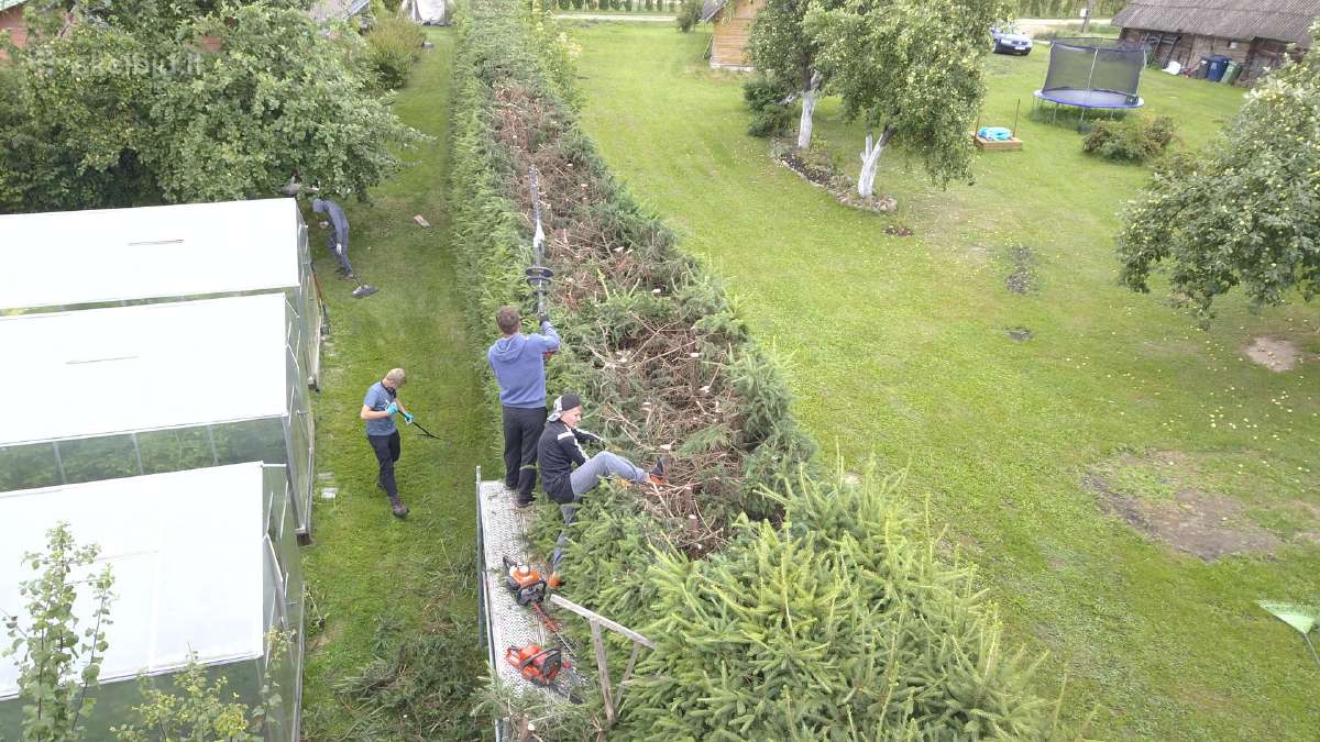 Vejos įrengimas, trinkelių įrengimas, plovimas - nuotraukos Nr. 14