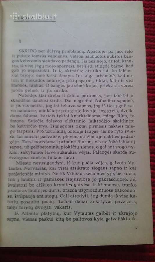 "Vakaris vėjas"raimondas Kašauskas 1989 m. - nuotraukos Nr. 2