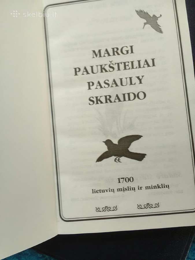 Mazi Pauksteliai Pasauly Skraido