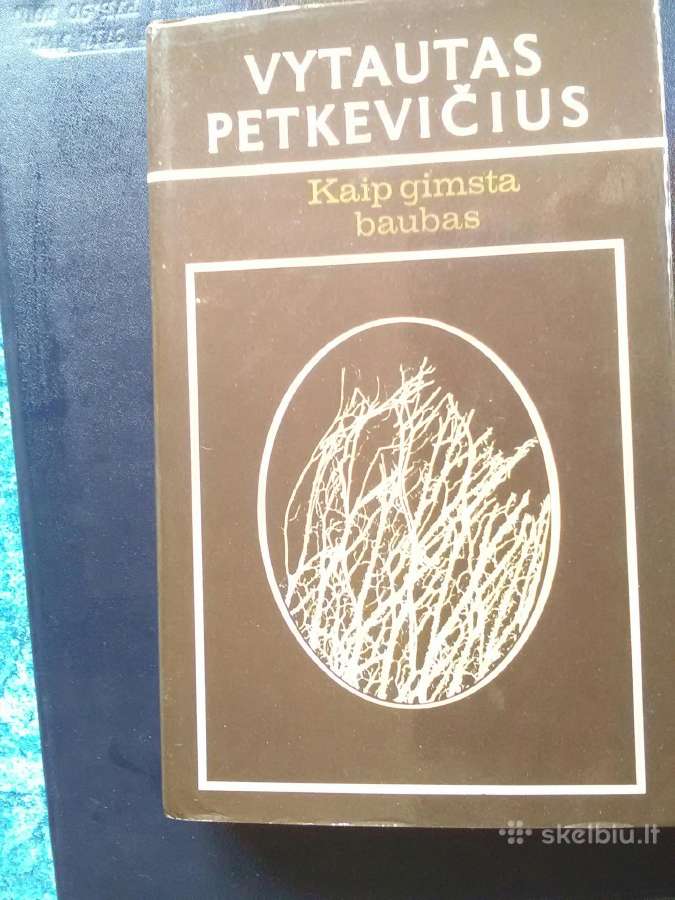 Kaip gimsta baubas