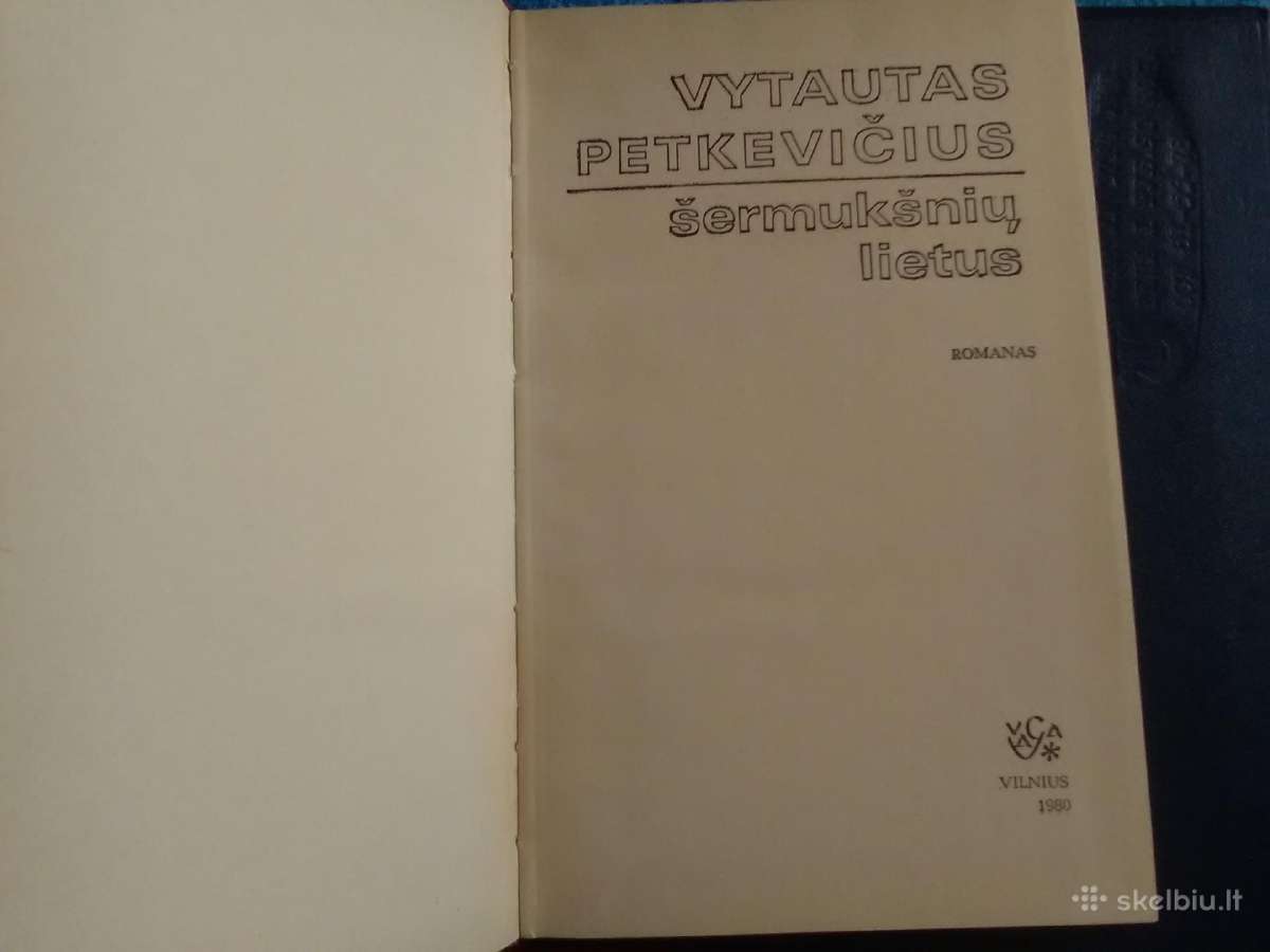 Petkevicius,šermukšniu lietus - nuotraukos Nr. 2