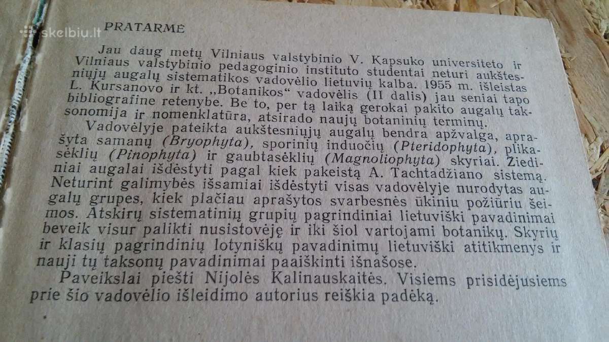 Aukštesniųjų augalų sistematika - nuotraukos Nr. 3