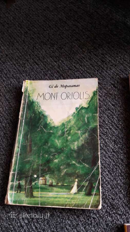 Parduodu idealaus stovio knyga. - nuotraukos Nr. 6