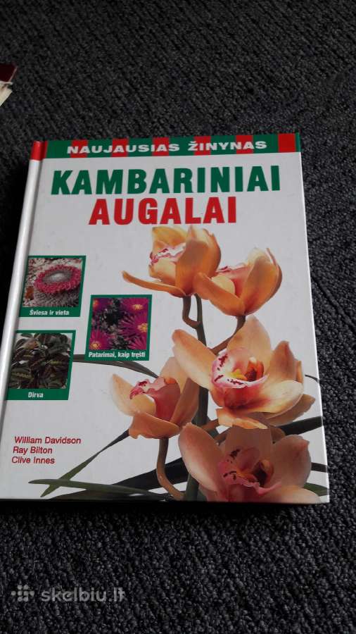 Parduodu idealaus stovio knyga. - nuotraukos Nr. 11