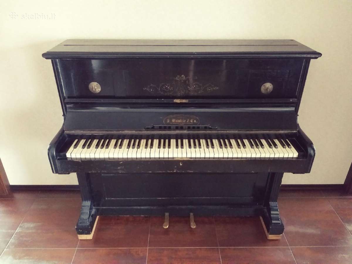 S. Moutrie & Co. pianinas - nuotraukos Nr. 2