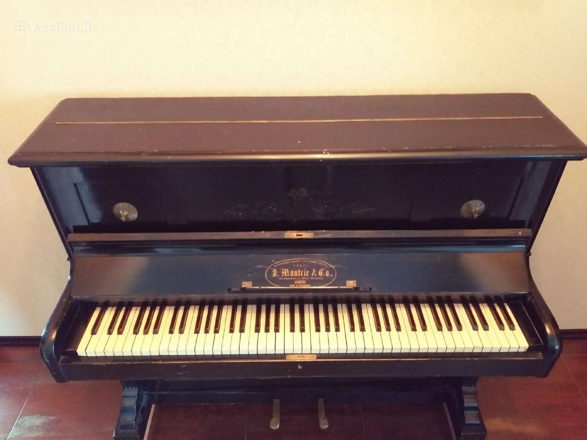 S. Moutrie & Co. pianinas - nuotraukos Nr. 9