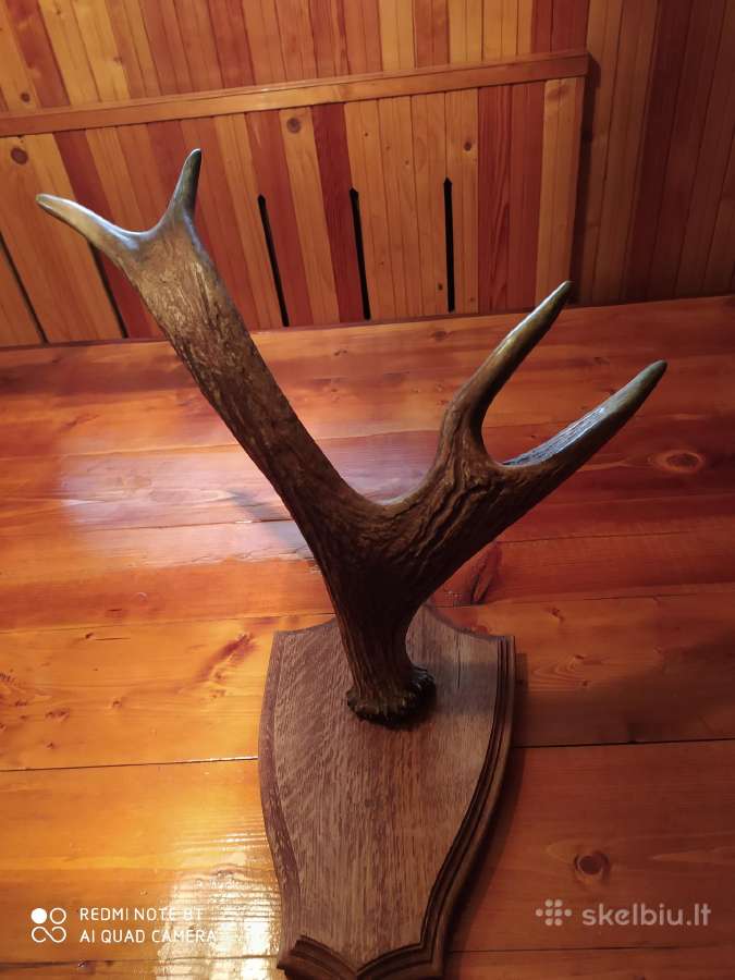 Trofejai