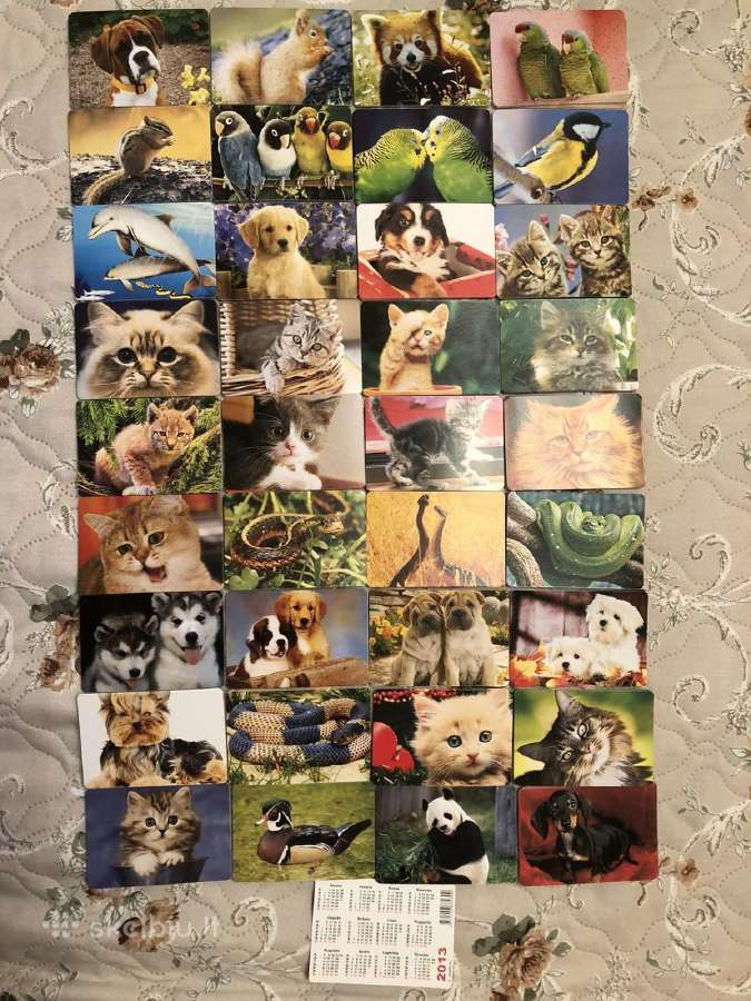Kalendoriukai pilnas komplektas