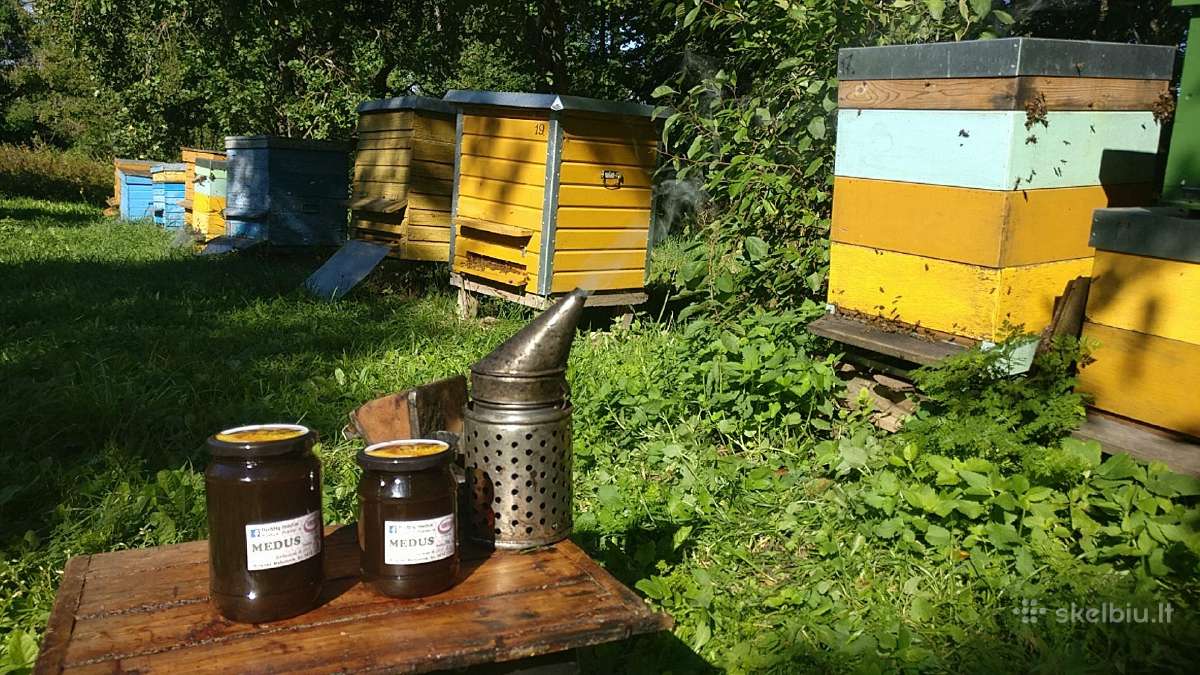Medus ir kiti bičių produktai - nuotraukos Nr. 2