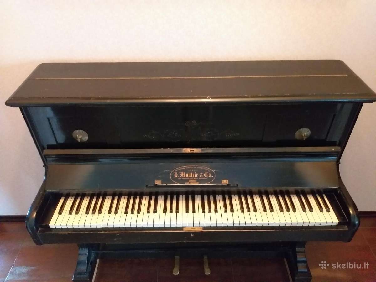 S. Moutrie & Co. pianinas - nuotraukos Nr. 3