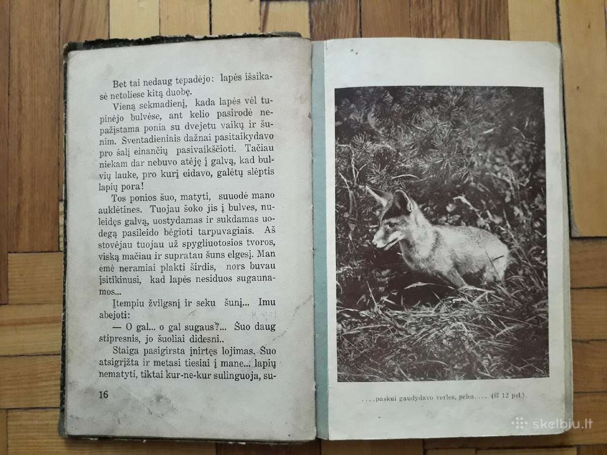 V. Janavičienė "Draugai iš girios" 1937 metai - nuotraukos Nr. 5