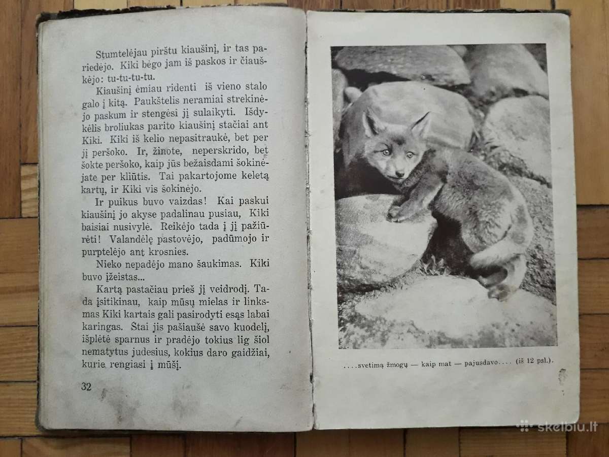 V. Janavičienė "Draugai iš girios" 1937 metai - nuotraukos Nr. 6