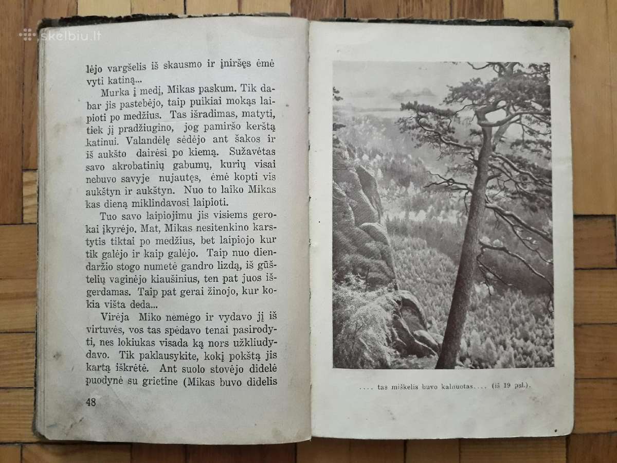 V. Janavičienė "Draugai iš girios" 1937 metai - nuotraukos Nr. 7