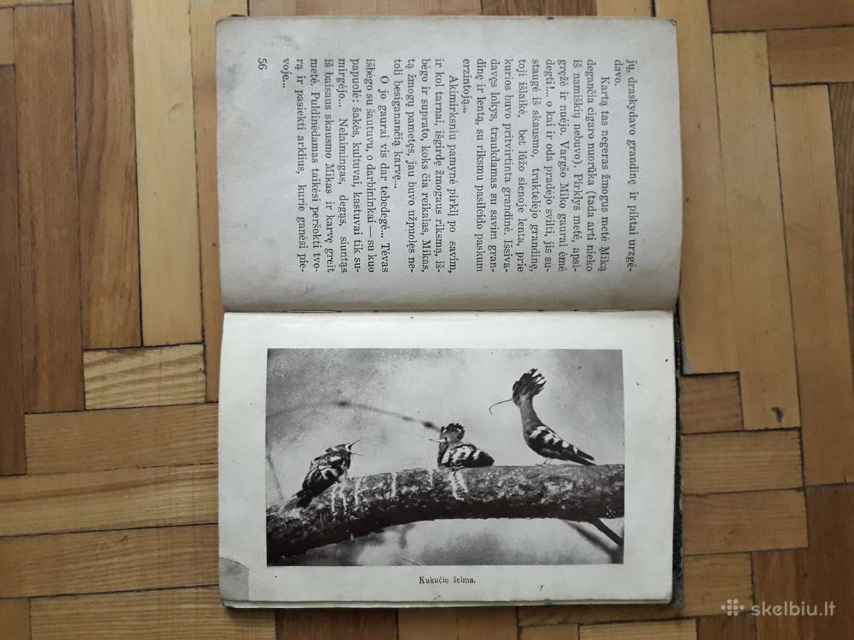 V. Janavičienė "Draugai iš girios" 1937 metai - nuotraukos Nr. 8