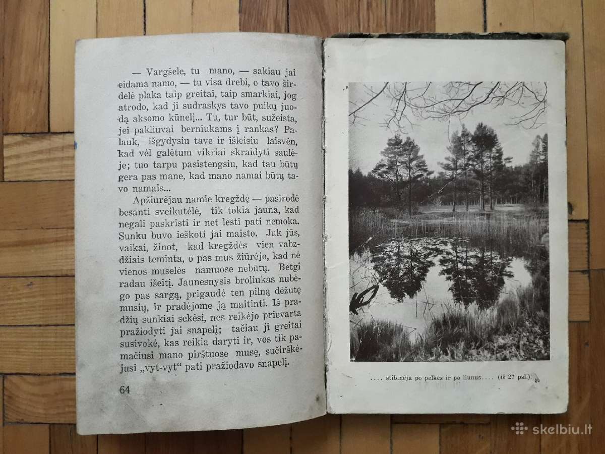 V. Janavičienė "Draugai iš girios" 1937 metai - nuotraukos Nr. 9