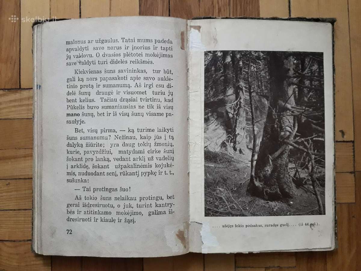 V. Janavičienė "Draugai iš girios" 1937 metai - nuotraukos Nr. 10