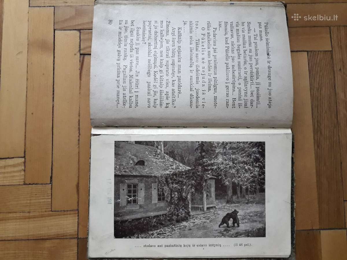 V. Janavičienė "Draugai iš girios" 1937 metai - nuotraukos Nr. 11