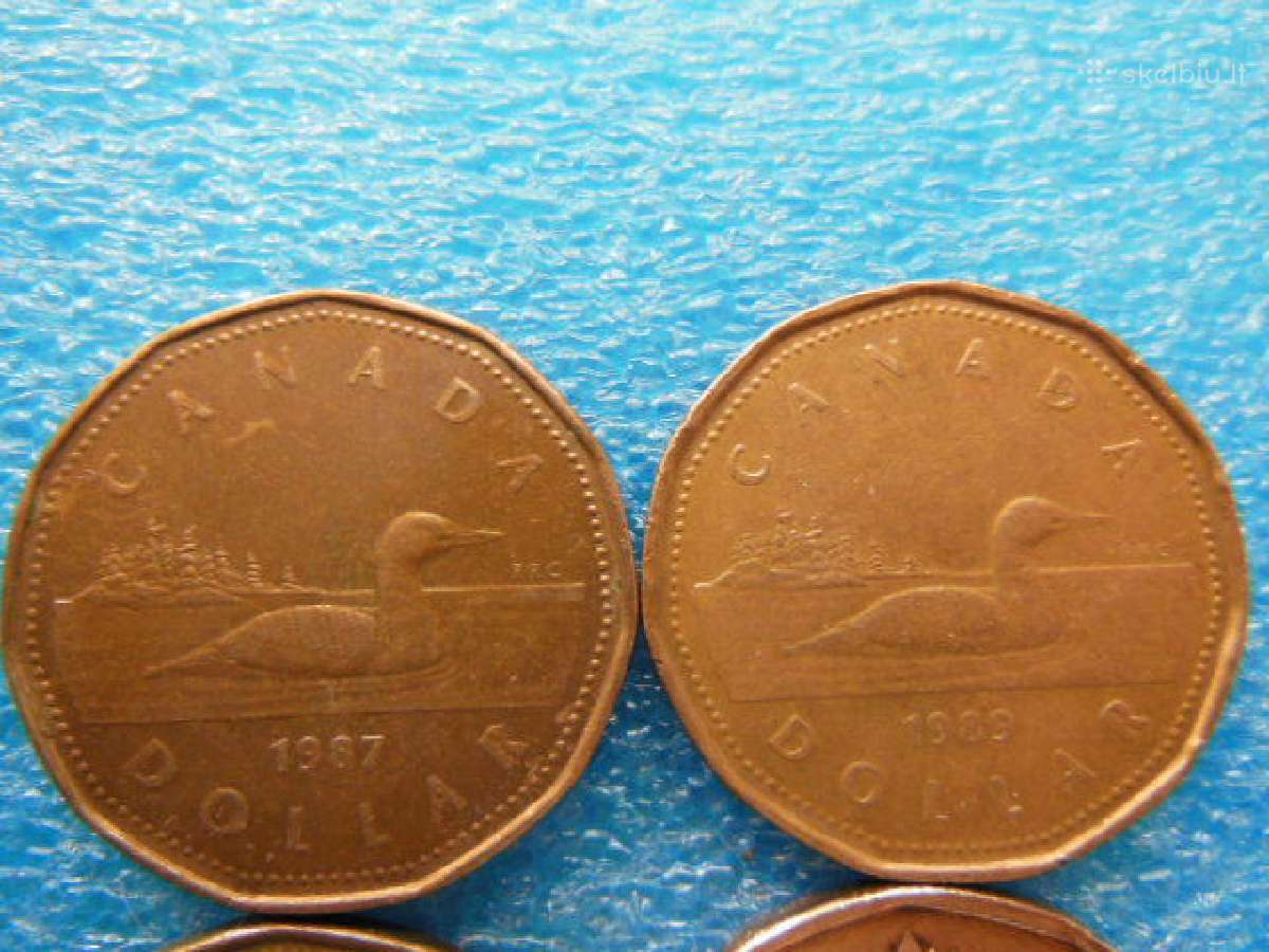 Kanada 1 doleris po 2€ - nuotraukos Nr. 3