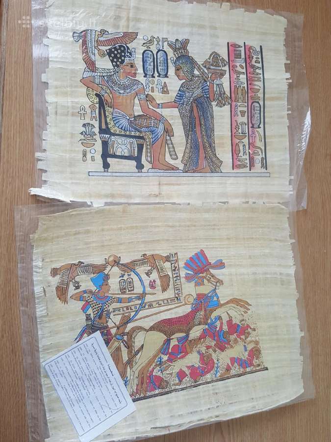 Papirusai is Egipto - nuotraukos Nr. 6