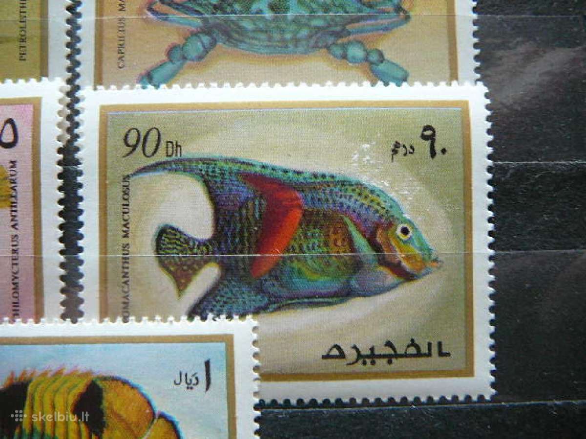 Juros fauna Fudzeira svarus albb104 - nuotraukos Nr. 3